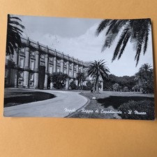 NAPOLI REGGIA DI CAPODIMONTE IL MUSEO - CARTOLINA BIANCO E NERO VIAGGIATA