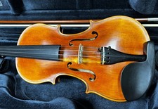 Violino Stentor Elysia 4/4 +