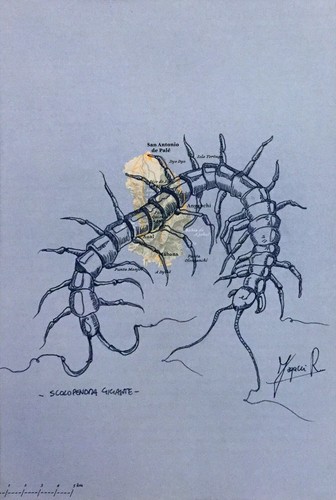 Rubens fogacci serie atlas - rubens,