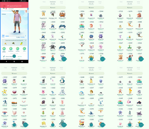 Pokémon acc livello 38 - acc, go