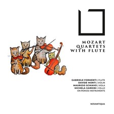 Gabriele Formenti, Davide