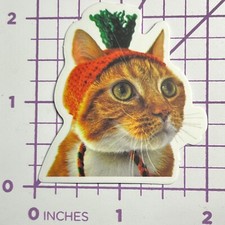 Costume cappello carota gatto gattino - adesivo vinile decalcomania adesivo bomba umorismo divertente