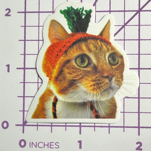 Costume cappello carota gatto