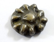 19c Antico Raro Bronzo da