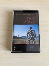 Pink Floyd _ Delicate Sound Of