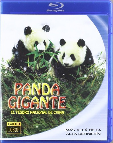 Panda gigante tesoro - panda, el