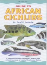 Guide to African Cichlids