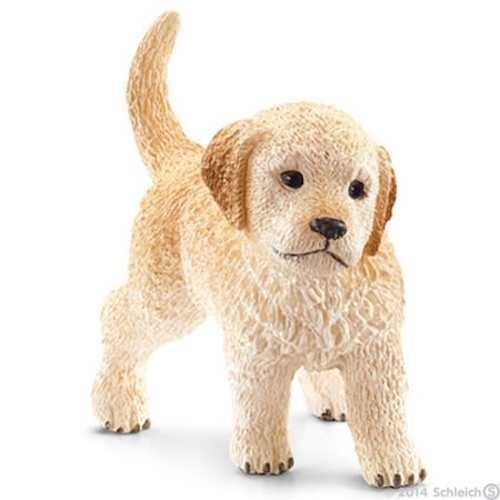 Cucciolo golden retriever - cucciolo,