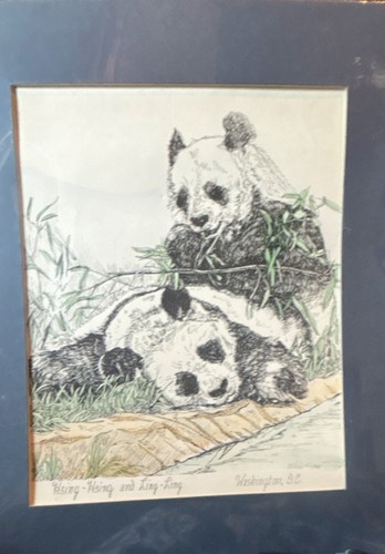 Disegno panda bianco - disegno,