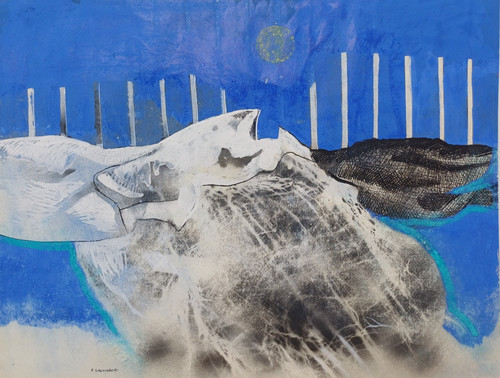 Remo salvadori b1947 - b1947, raro