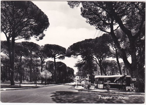 Fregene roma pineta - -,