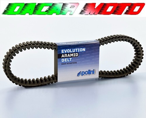 Cinghia variatore polini - cinghia,