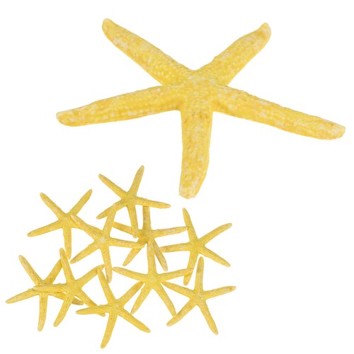 Confezione stelle marine - confezione,