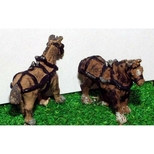Shire cavalli con bardatura - shire,