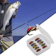 Esche pesca con - esche, mosche