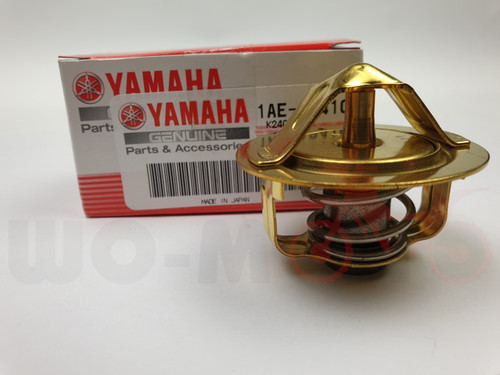 Termostato per yamaha fzs - yamaha, fzr