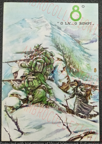 Cartolina reggimento - 8°,