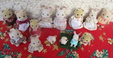 Lot Sylvanian families 14