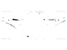 2x Bracci oscillanti TRISCAN