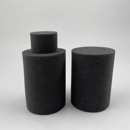 Spine schiuma aft 2 - in,