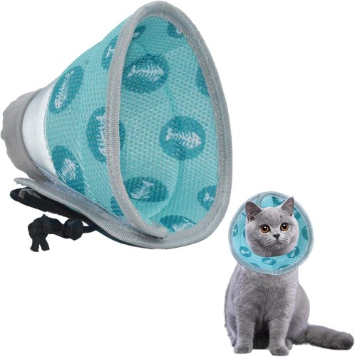 Collare elisabettiano gatto - collare,