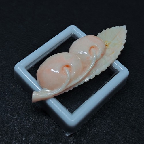 Intaglio corallo bianco