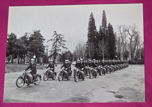 Fotografia collezione - da,