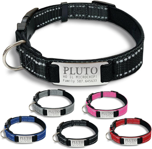 Gruppo collare cane - ,