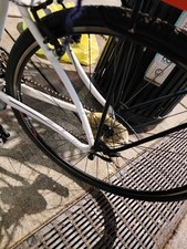 Specialized