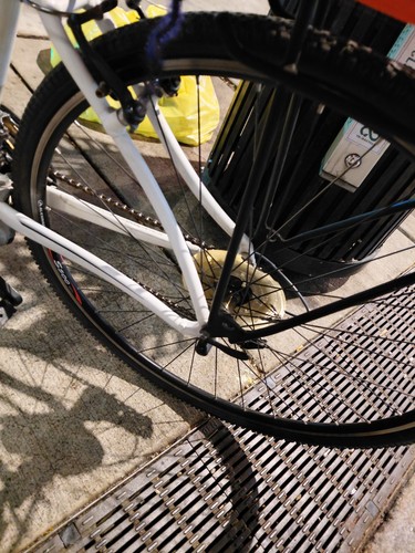 Specialized