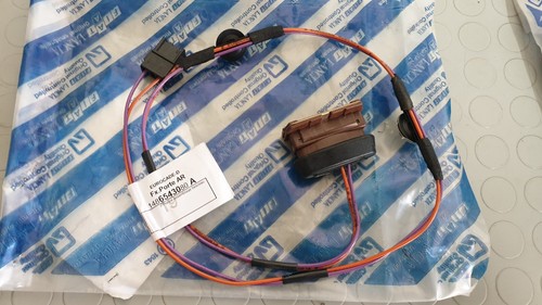 Cablaggio elettrico porta