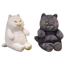 Gatto British Shorthair