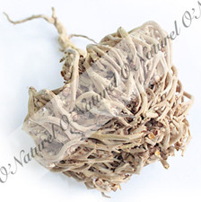 Rose de Jéricho Chajarat Mariam BIO 100% Naturelle Jericho Rose, Rosa de Jericó