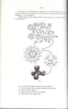 ZEOLITE ZEOLITIZZAZIONE ROMA 1975 ACCADEMIA LINCEI MINERALI MINERALOGIA