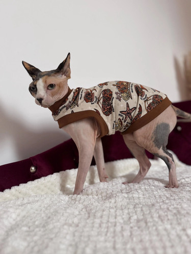 Shirt gatto cotone - t-shirt, sphynx