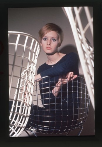 Sedia twiggy anni - sedia,