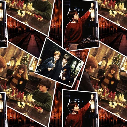 Trapuntino harry potter scene - potter,