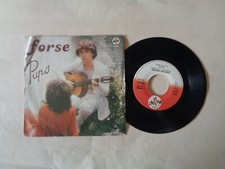 PUPO FORSE / CERCAMI ANCORA