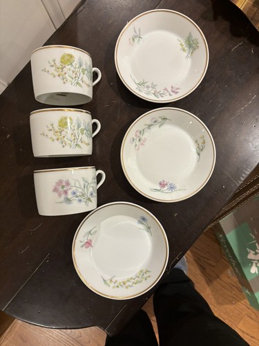 Richard ginori cups and - cups,