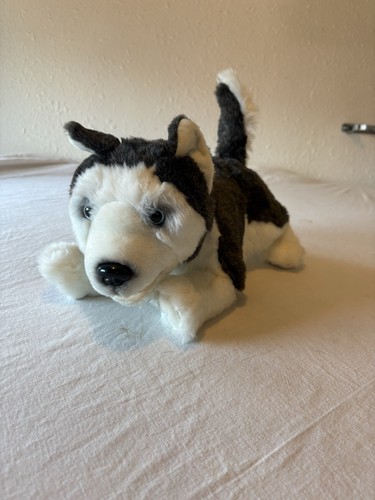Love licks husky cucciolo - 'n,