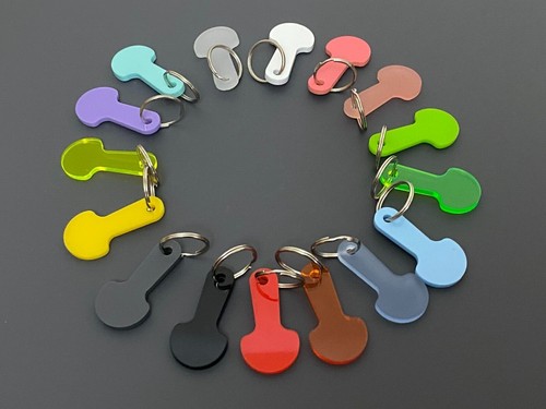 Shopping trolley coin key - trolley,