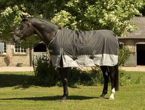 Tappeto cavallo rhinegold thor - tappeto,