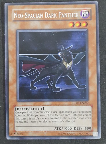 Pantera nera neo - neo, rara