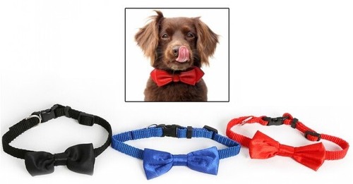 Papillon per cani - papillon,