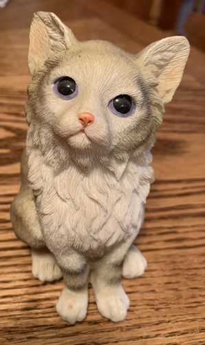 Gattino persiano vintage gatto