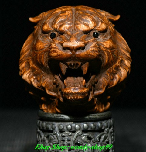 Old chinese boxwood - old,