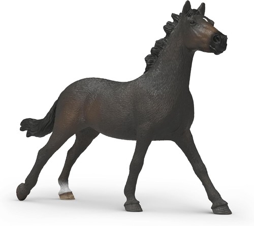 Horse club 14914 - club, inglese