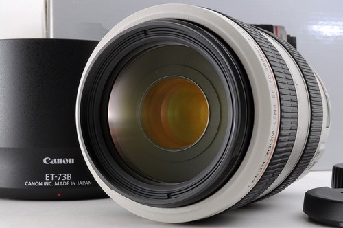 Canon 300mm 5 6l - ef, is