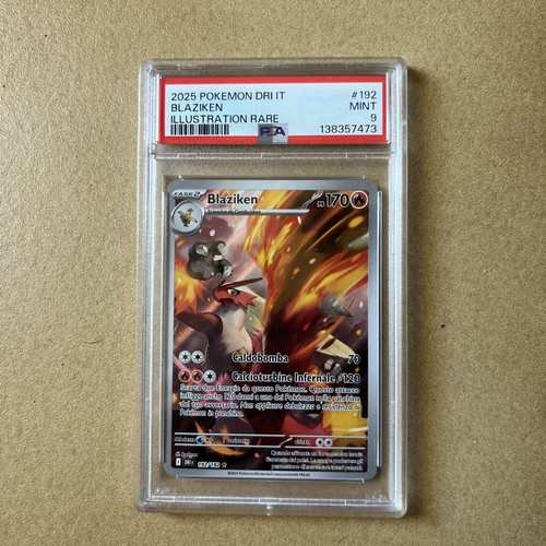 Blaziken pokemon dri 192 - blaziken,
