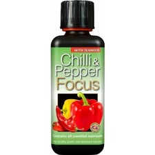 CHILLI & PEPPER FOCUS 300ML -